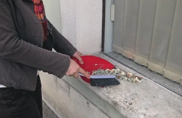 Sosede so odstranile kruh, pomešan s strupom za polže, a neznanec je drugi dan spet nastavil vabo