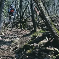 Prizor z lanske dirke Enduro 3 camini nad Trstom. Katinara je prepredena s stezicami.
