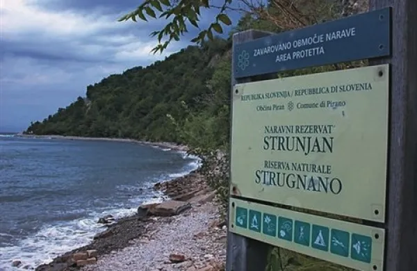 Javni zavod Krajinski park Strunjan je danes predstavil zaključek projekta Tematske poti v Krajinskem parku Strunjan (TemPoSt). 