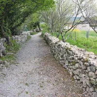 ... in njegov videz ob učni poti po obnovi