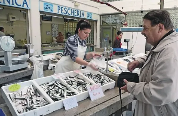 V koprski ribarnici Andrejka Bonja sardele iz melajde ponuja po 5 evrov na kilogram 