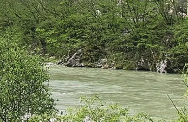 Sava