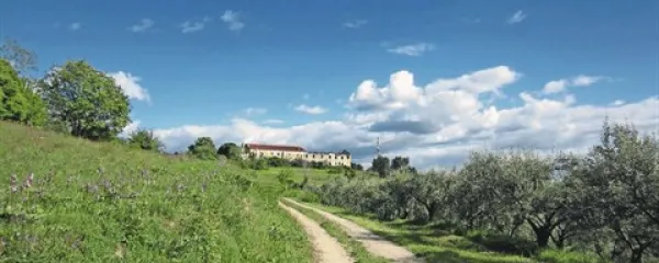 V prihodnjem tednu bo na nebu precej več oblakov