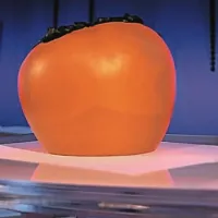 Četrti mesec s &scaron;tirimi kandidati