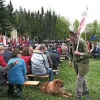 Dovolj je nasilja in krivic