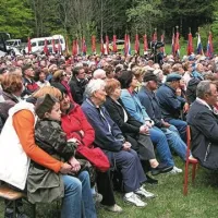 Dovolj je nasilja in krivic