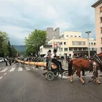 Prihod furmanov v Novo Gorico