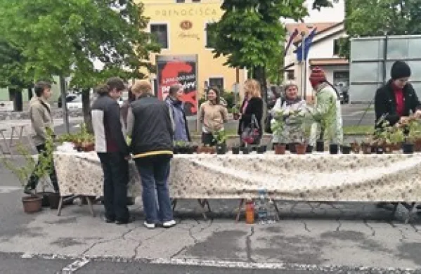 V soboto je Civilna iniciativa Brkini  v Divači slabemu vremenu navkljub pripravila prvi sejem izmenjave semen, sejancev in sadik  