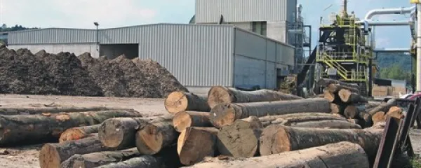 Pelete izdelujejo v industrijskih obratih, načeloma vsebujejo le les in organsko lepilo in so ekološko neoporečni  