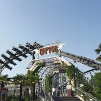 In Raptor za sklepno dejanje