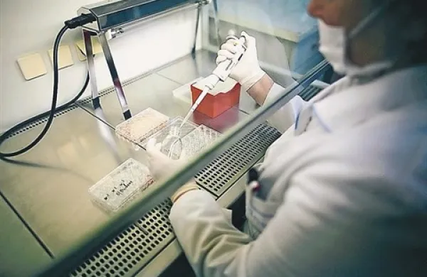 Kljub naprezanju stroke so mikroorganizmi, kot kaže, korak pred znanstveniki 
