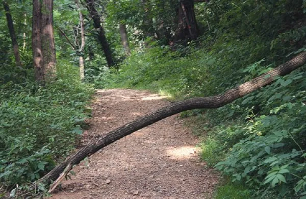 Moška sta se z ukradenim gorivom napotila v Panovec