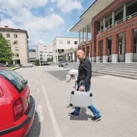 Čuk pod drobnogledom