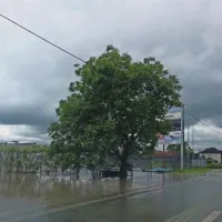 &ldquo;Lahko samo gleda&scaron;, kako voda vse odna&scaron;a&rdquo;