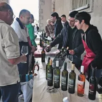 Svojo žlahtno kapljico so ponujali briški, vipavski, kraški, istrski ter italijanski vinarji 