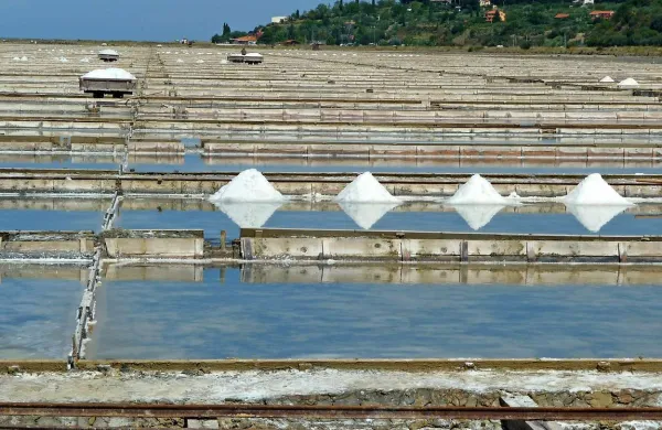 Podjetje Soline ima koncesijo za pridelavo soli in s tem tudi za skrb nad krajinskim parkom. Če bi ga  prodali, bi vse to postala odgovornost novega lastnika.