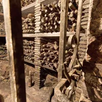 Arhivska klet Čotarjevih