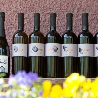Čotarjeva vina z Brankovim in Vasjinim odtisom