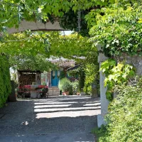 Zeleni borjač na robu Gorjanskega