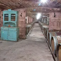 Spodnja etaža v kleti Čotarjevih v Gorjanskem  