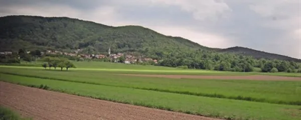 (Pre)žgočega sonca, ki bi uničilo zeleno svežino, še ni na vidiku 
