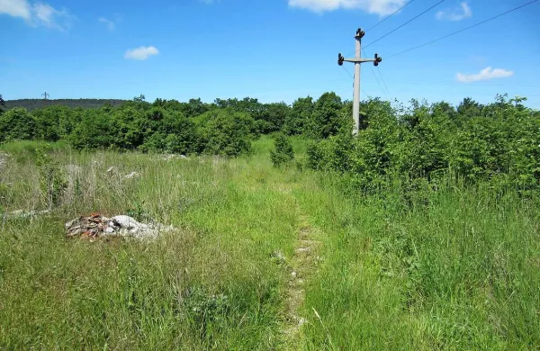 Zazidljive parcele, ki bodo jutri naprodaj, ležijo levo in desno od potke, ki se odcepi od ceste, ki vodi od RTP proti divaškemu novemu naselju
