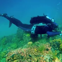 Nedestruktivne tehnike vzorčenja čedalje bolj pridobivajo na veljavi