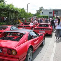 V Vipavskem križu 41 ferrarijev