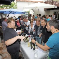 Pri Ščurkovih na Plešivem je bilo čez vikend zelo živahno