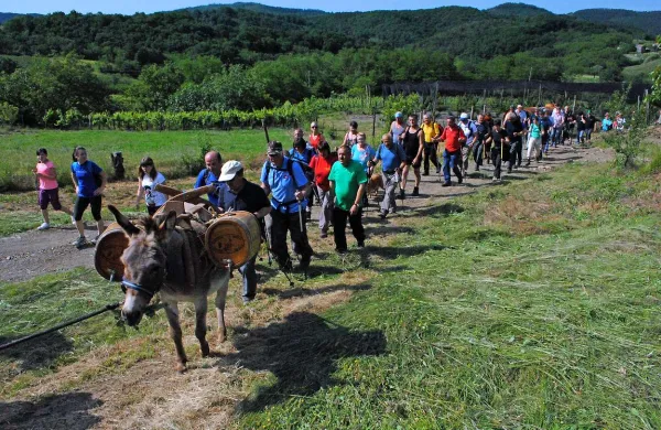 Pohod med &scaron;marenskimi griči