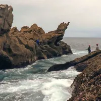 “V filmu Obala smrti, posnetem v ritmu narave, ljudje nastopajo kot figure, brezobrazne, del širšega okolja, zato dobi gledalec občutek, kot da vse skupaj opazuje iz absolutne distance,