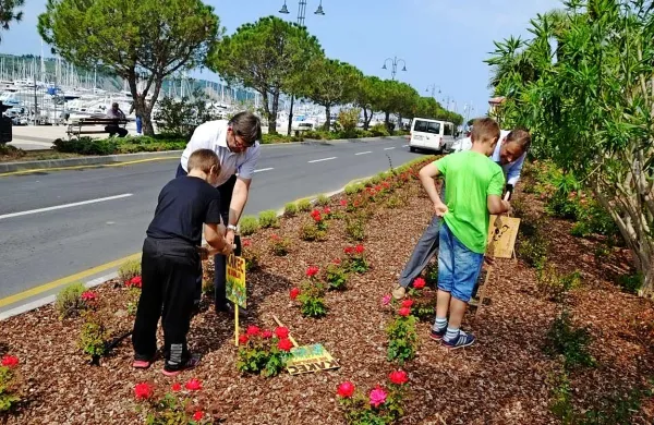 Otroci iz treh izolskih osnovnih šol so v  parke in na zelenice postavili opozorilne table, ki lastnike psov pozivajo k pobiranju pasjih iztrebkov