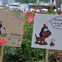 Opozorilne table lastnike psov pozivajo k pobiranju pasjih iztrebkov