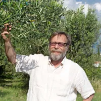 Vanja Dujc med svojimi oljkami pod Malijo