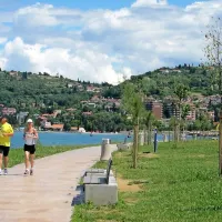 Drevesa na Seči bodo čez nekaj let nudila senco sprehajalcem in tistim, ki bodo počivali na klopcah 