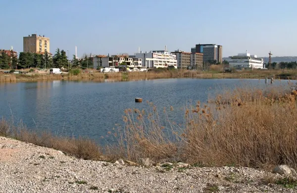 Koprski notar se je znašel v sodnem postopku zaradi pogodb z nepremičninskimi posli Toncityja, ko je bilo tam še jezero. Sodišče ga je oprostilo.