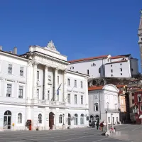 Preiskave zaradi piranskega interneta