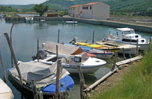 Ob obali, kjer so zdaj čolni privezani k lesenim kolom, želi občina urediti manjše ribiško pristanišče 