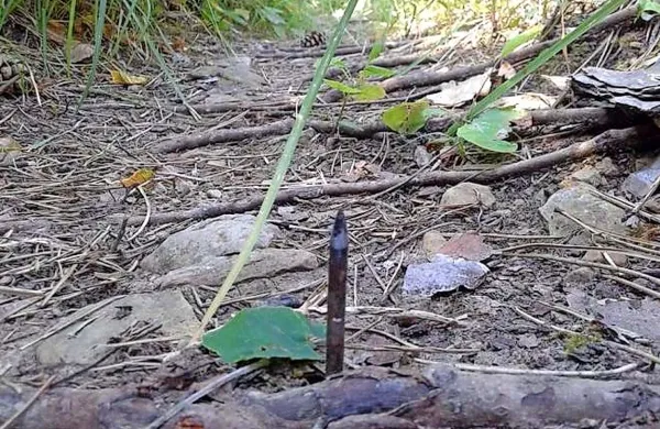 Nekdo je  žeblje nabrusil in jih na stezi s Tinjana zapičil v tla