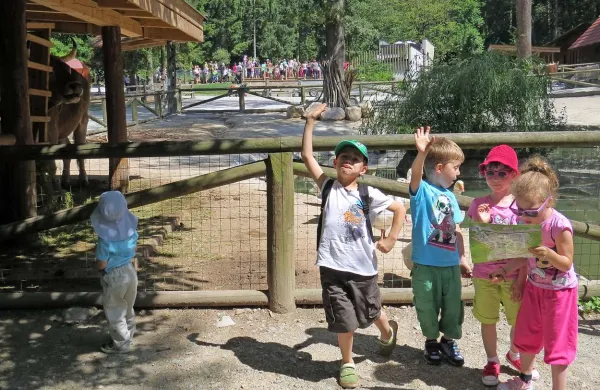Za malčke iz vrtca Branik je bil obisk živalskega vrta pravo doživetje