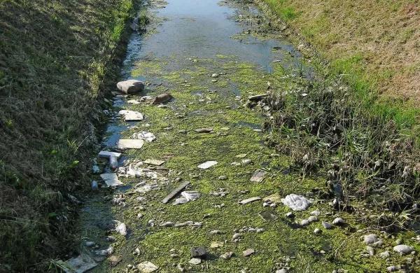 Kanal pred Mercatorjem pri Ogrlici je poln smeti. Na občini pravijo, da je na Mercatorjevem zemljišču, zato  ga ne nameravajo očistiti.