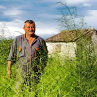 Egidio Žiber na svojih poljih ob Dragonji