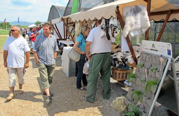 V Biljah so včeraj ponujali tudi domače  dobrote, pridelke in izdelke