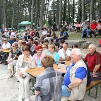 V hladu borovega gozda je soboto v Dutovljah preživelo približno 2000 primorskih upokojencev, od Bovca do Pirana