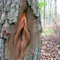 Najlep&scaron;e &ldquo;vagine&rdquo; na svetu