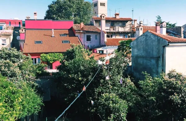 Več kot polovica slovenskih gospodinjstev sama prideluje zelenjavo