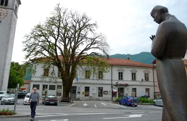 Če bo treba kostanj posekati, bo na trgu zazevala praznina