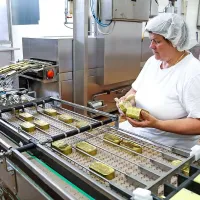 Konzerve, napolnjene s skušami, sardelami in paštetami, so kombinacija najsodobnejše tehnologije in izkušenih Delamarisovih delavk  