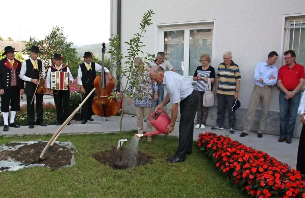 Jablano pri kulturnem domu v Hrpeljah je zalil podžupan Anton Mahne