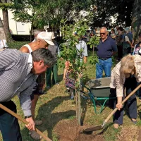 Tako sta v Štorjah sežanski župan Davorin Terčon in Vladislava Navotnik posadila nešpljo
